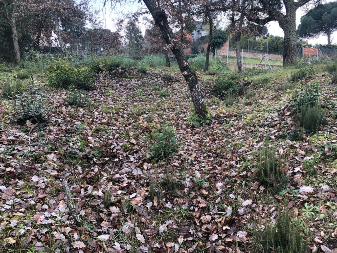  Land in Macanet De La Selva, Spain No. 75918