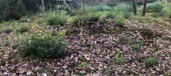  Land in Macanet De La Selva, Spain No. 75918 23