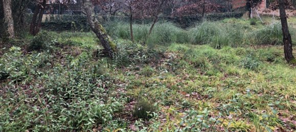  Land in Macanet De La Selva, Spain No. 75918 25