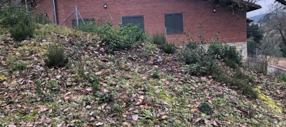  Land in Macanet De La Selva, Spain No. 75918 10