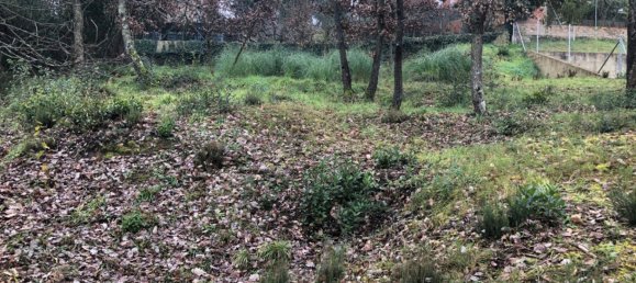  Land in Macanet De La Selva, Spain No. 75918 21