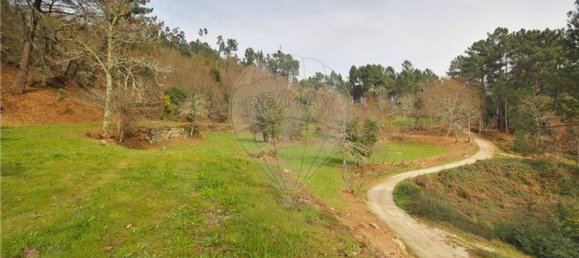 3 Schlafzimmer Haus in Marco de Canaveses, Portugal, Nr. 29701 4