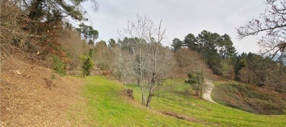 3 Schlafzimmer Haus in Marco de Canaveses, Portugal, Nr. 29701 5