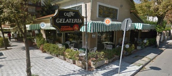 4 rooms Commercial property in Forte dei Marmi, Italy No. 229140 2