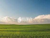 Земельный участок 4000м² в Фонтене-ле-Конт, Франция № 113076