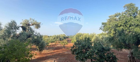 Вилла с 2 спальнями в Фазано, Италия № 344193 25