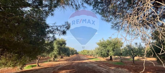 Вилла с 2 спальнями в Фазано, Италия № 344193 26