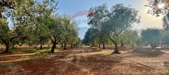 Вилла с 2 спальнями в Фазано, Италия № 344193 28