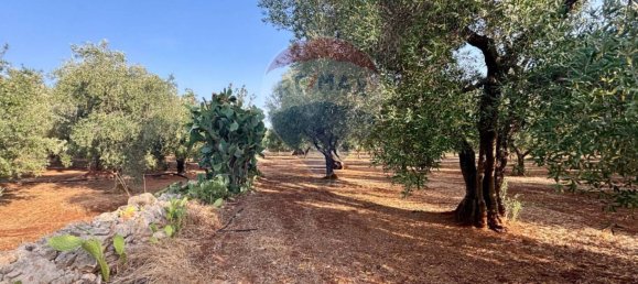 Вилла с 2 спальнями в Фазано, Италия № 344193 24