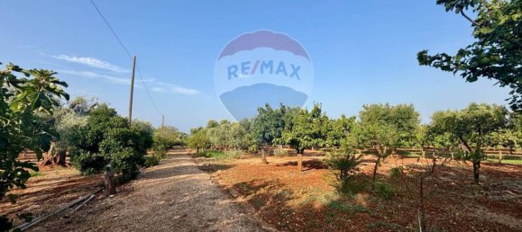 Вилла с 2 спальнями в Фазано, Италия № 344193 23