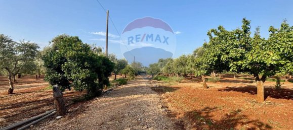 Вилла с 2 спальнями в Фазано, Италия № 344193 29