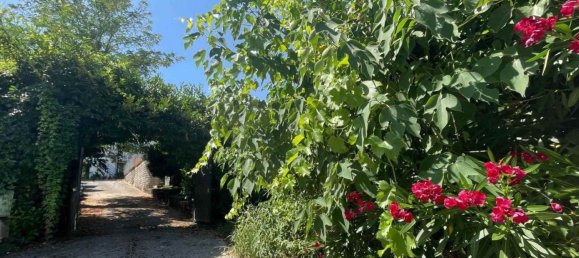 13-Zimmer Villa in Colfelice, Italy, Nr. 106136 45