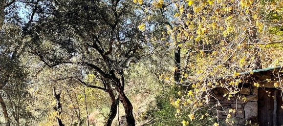 9223m² Land in Arcos de Valdevez, Portugal No. 73136 3