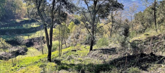 9223m² Land in Arcos de Valdevez, Portugal No. 73136 6