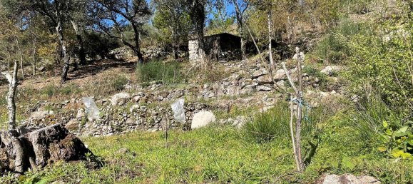 9223m² Land in Arcos de Valdevez, Portugal No. 73136 2