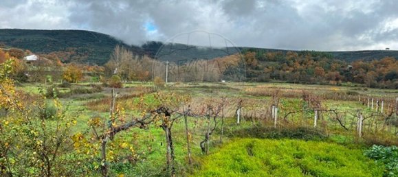 Дом с 4 спальнями в Браганса, Португалия № 180607 16