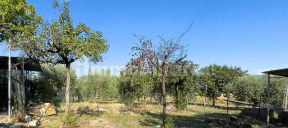 4 chambres Maison à Trevi, Italy No. 282083 40