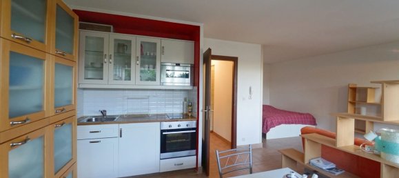 استوديو في Ferney-Voltaire, France رقم 302273 4