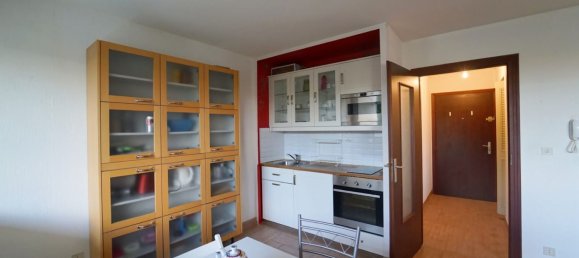 استوديو في Ferney-Voltaire, France رقم 302273 3