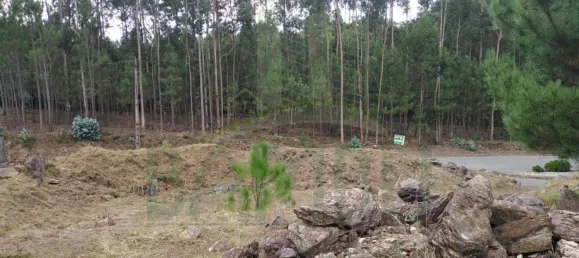 Terrain à Vila Nova de Cerveira, Portugal No. 64127 5