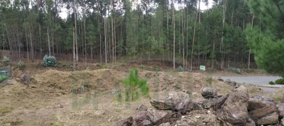 Terrain à Vila Nova de Cerveira, Portugal No. 64127 6