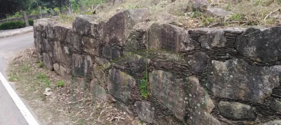 Terrain à Vila Nova de Cerveira, Portugal No. 64127 3