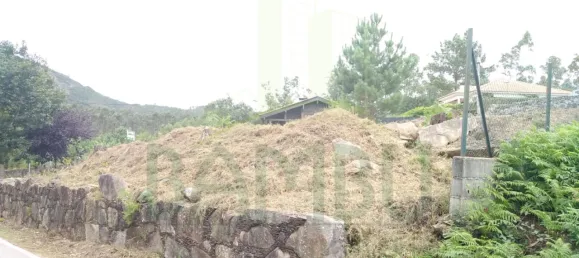 Terrain à Vila Nova de Cerveira, Portugal No. 64127 2