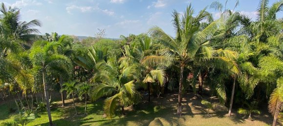 7 غرف نوم مقهى / مطعم في Chiang Mai, Thailand رقم 12722 15