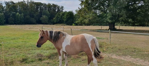 7 Schlafzimmer Haus in Arthon, France, Nr. 253226 18