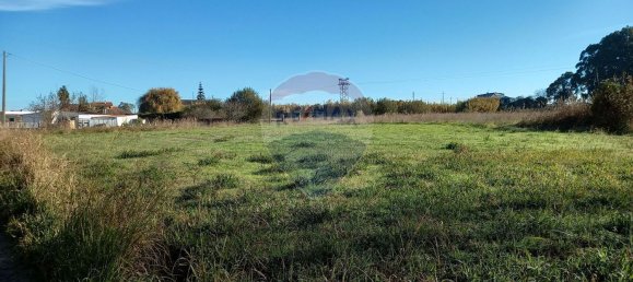 13550m² Land in Ilhavo, Portugal No. 73103 4