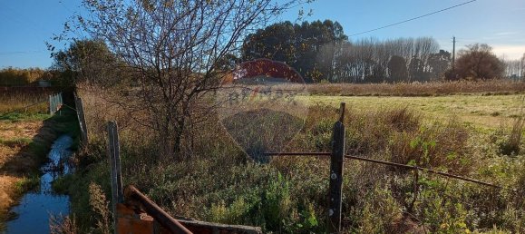 13550m² Land in Ilhavo, Portugal No. 73103 3