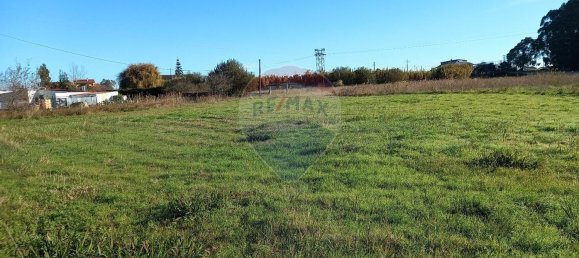 13550m² Land in Ilhavo, Portugal No. 73103 2