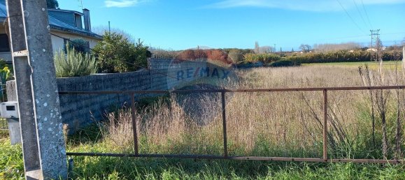 13550m² Land in Ilhavo, Portugal No. 73103 5