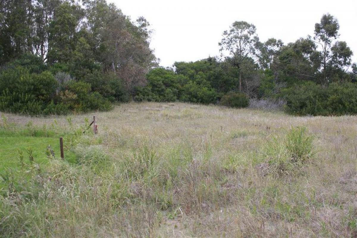  Land in Mar del Plata, Argentina No. 115015