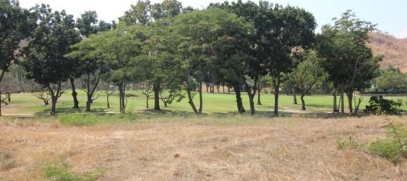  Commercial property in Hua Hin, Thailand No. 6839 2