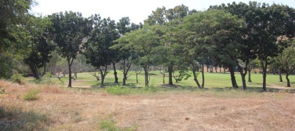  Commercial property in Hua Hin, Thailand No. 6839 9