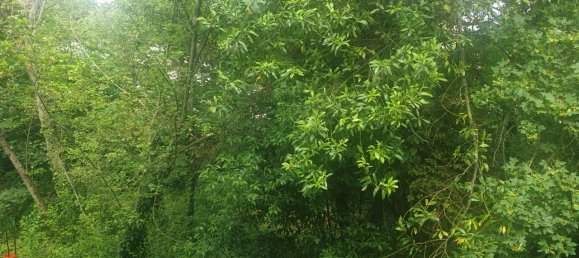 Villa de 5 divisões em San Felice sul Panaro, Italy N.º 161310 15