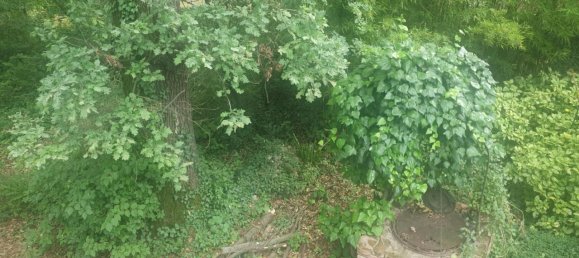 Villa de 5 divisões em San Felice sul Panaro, Italy N.º 161310 18