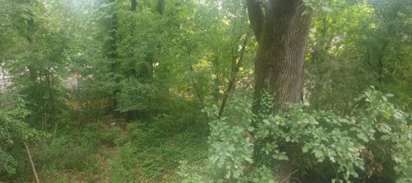 Villa de 5 divisões em San Felice sul Panaro, Italy N.º 161310 21