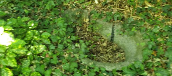 Villa de 5 divisões em San Felice sul Panaro, Italy N.º 161310 26