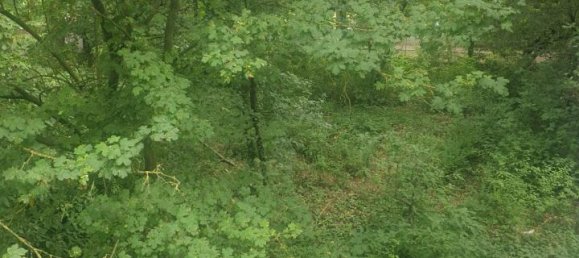 Villa de 5 divisões em San Felice sul Panaro, Italy N.º 161310 14