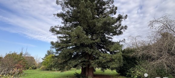 Terreno en Chabris, France No. 212603 4