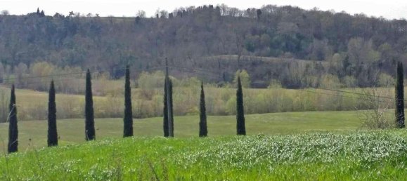 Casa de 10 dormitorios en Peccioli, Italy No. 246 3