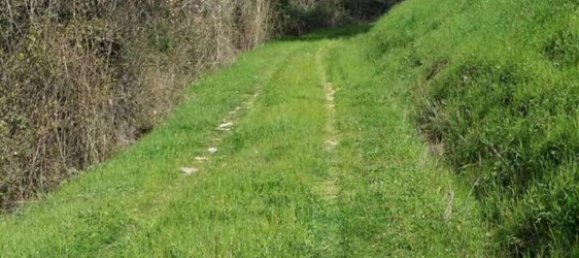 Casa de 10 dormitorios en Peccioli, Italy No. 246 5