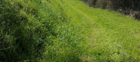 Casa de 10 dormitorios en Peccioli, Italy No. 246 4