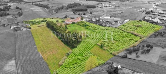 Casa de 10 dormitorios en Bombarral, Portugal No. 146232 11