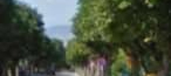 1-Zimmer Gewerbliche Immobilie in Colli al Metauro, Italy, Nr. 273563 6