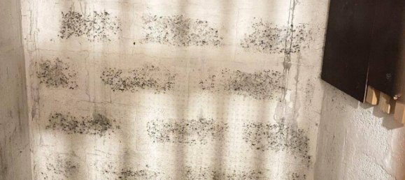 Apartamento de 3 habitaciónes en Margareten, Austria No. 119079 18