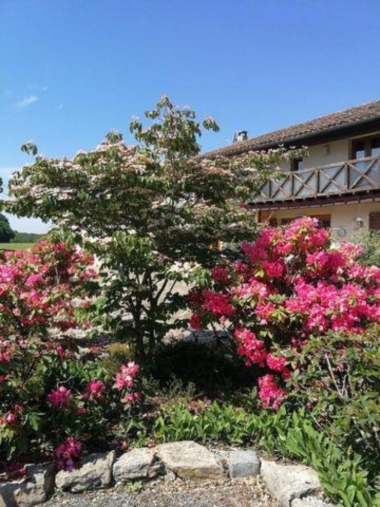 Дом с 8 спальнями в Серва, Франция № 31658