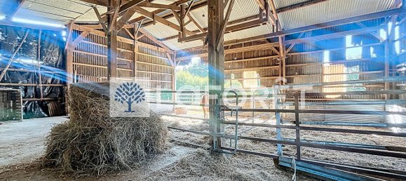 Casa de 1 dormitorio en Deux-Sevres, France No. 286049 9
